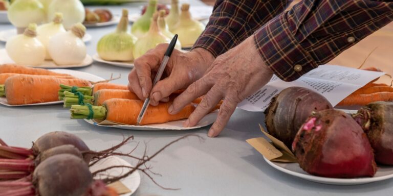 Supporting the East Leake Show: Celebrating Our Local Community